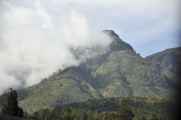 07 indo2010-090