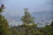 07 indo2010-091