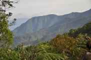 07 indo2010-093