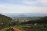 07 indo2010-094