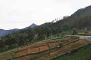 07 indo2010-096