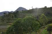 07 indo2010-101