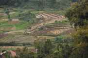 07 indo2010-102