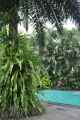 07 indo2010-110