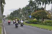 08 indo2010-001