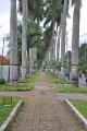 08 indo2010-002