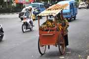 08 indo2010-011