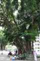 08 indo2010-016