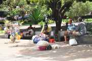 08 indo2010-019