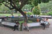 08 indo2010-021