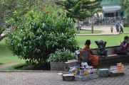 08 indo2010-022