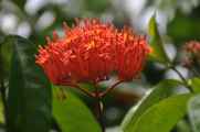 08 indo2010-023