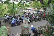 08 indo2010-026