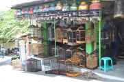 08 indo2010-046