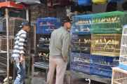 08 indo2010-048