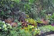 08 indo2010-050