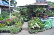 08 indo2010-053