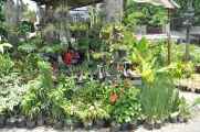 08 indo2010-056