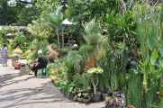 08 indo2010-057