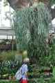 08 indo2010-062