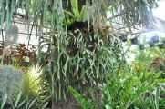 08 indo2010-063