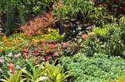 08 indo2010-065