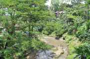 08 indo2010-066