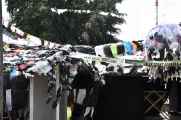 08 indo2010-069
