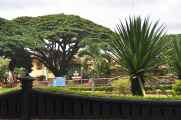 08 indo2010-070