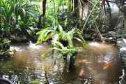 08 indo2010-077