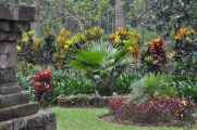 08 indo2010-115