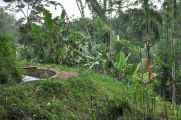 08 indo2010-122
