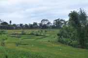 08 indo2010-124