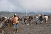 09 indo2010-26