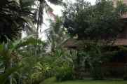 11 indo2010-003