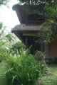 11 indo2010-004