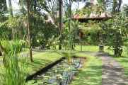 11 indo2010-014