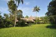 11 indo2010-018