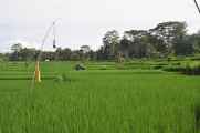 11 indo2010-023