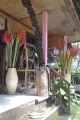 11 indo2010-025