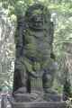 11 indo2010-030