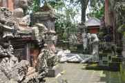 11 indo2010-048