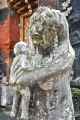 11 indo2010-049