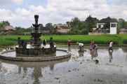 11 indo2010-055