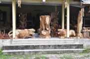 11 indo2010-059