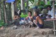 11 indo2010-060