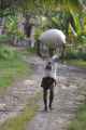 11 indo2010-067