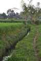 11 indo2010-068