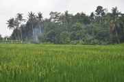 11 indo2010-074