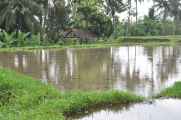 11 indo2010-075